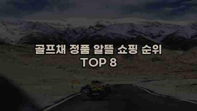 골프채 정품 알뜰 쇼핑 순위 TOP 8