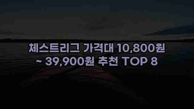 체스트리그 가격대 10,800원 ~ 39,900원 추천 TOP 8 1 1 체스트리그 가격대 10,800원 ~ 39,900원 추천 TOP 8