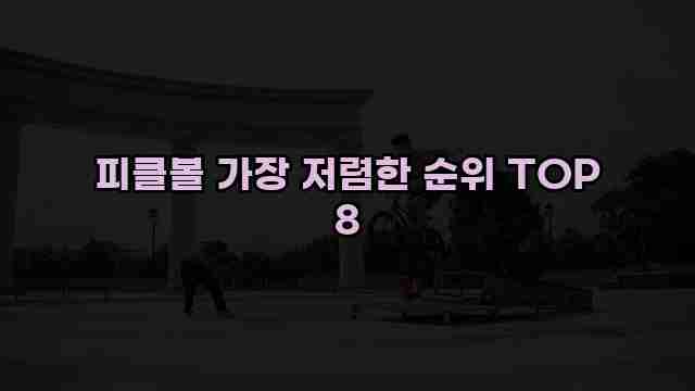 피클볼 가장 저렴한 순위 TOP 8