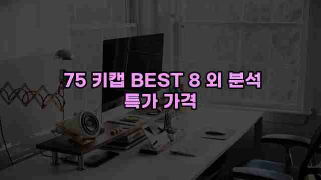  75 키캡 BEST 8 외 분석 특가 가격