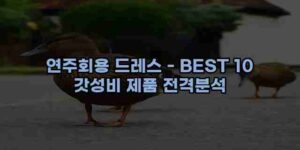 알리파파의 가성비 알리 제품 추천 43974 111
