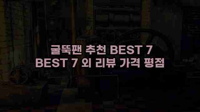  굴뚝팬 추천 BEST 7 BEST 7 외 리뷰 가격 평점