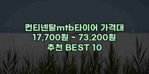 알리파파의 가성비 알리 제품 추천 42851 1