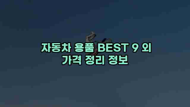  자동차 용품 BEST 9 외 가격 정리 정보