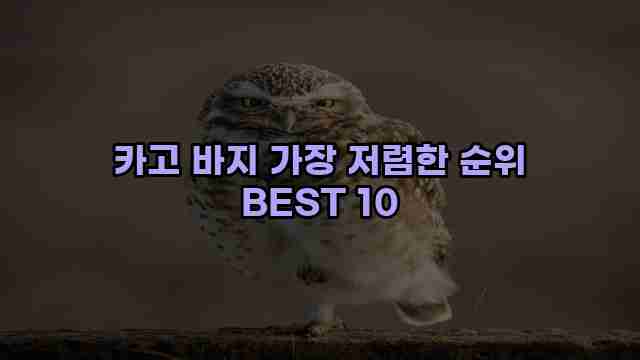 카고 바지 가장 저렴한 순위 BEST 10