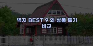 알리파파의 가성비 알리 제품 추천 46030 14
