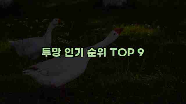 투망 인기 순위 TOP 9