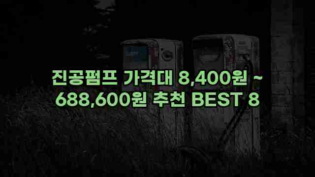 진공펌프 가격대 8,400원 ~ 688,600원 추천 BEST 8