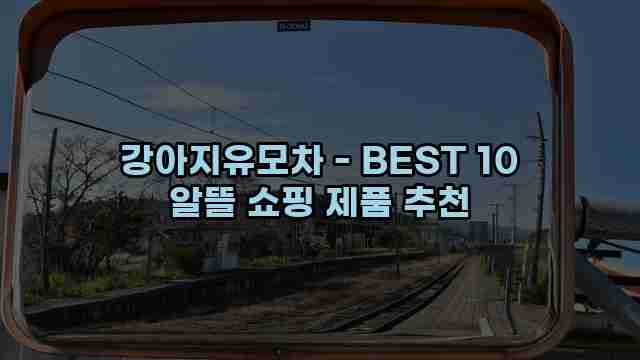 강아지유모차 - BEST 10 알뜰 쇼핑 제품 추천