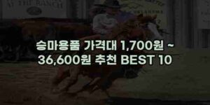알리파파의 가성비 알리 제품 추천 43640 28