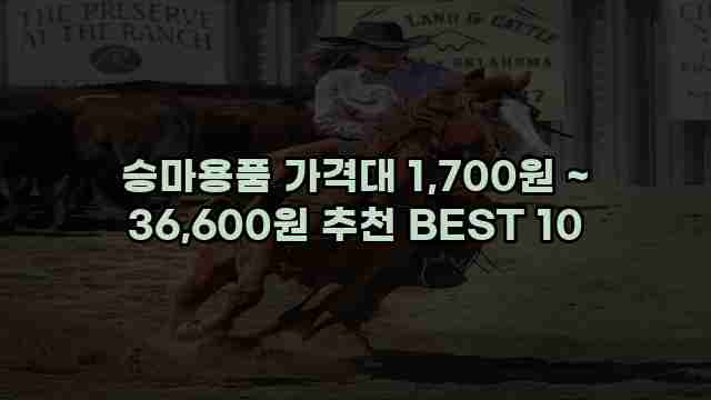 승마용품 가격대 1,700원 ~ 36,600원 추천 BEST 10