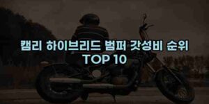 알리파파의 가성비 알리 제품 추천 43745 15