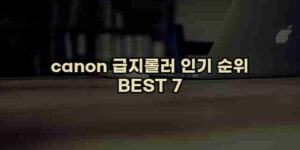 알리파파의 가성비 알리 제품 추천 36400 116