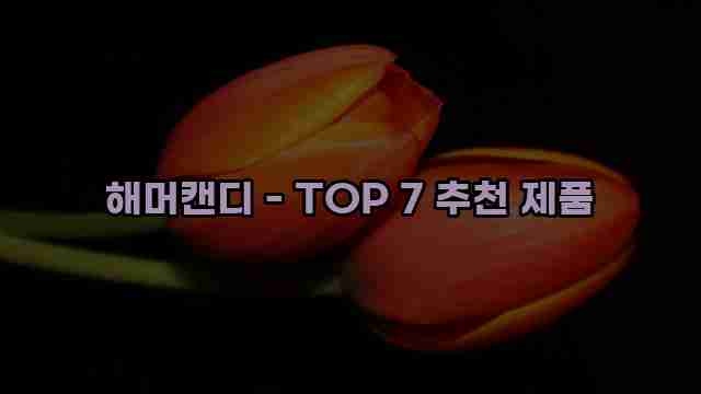 해머캔디 - TOP 7 추천 제품 