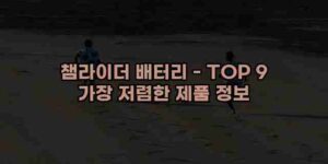 알리파파의 가성비 알리 제품 추천 52520 28