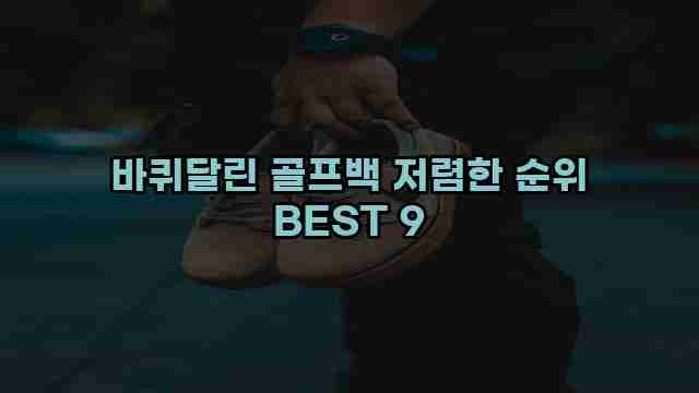 바퀴달린 골프백 저렴한 순위 BEST 9