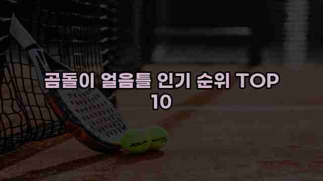 곰돌이 얼음틀 인기 순위 TOP 10