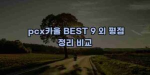 알리파파의 가성비 알리 제품 추천 39763 14