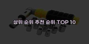 알리파파의 가성비 알리 제품 추천 37052 128