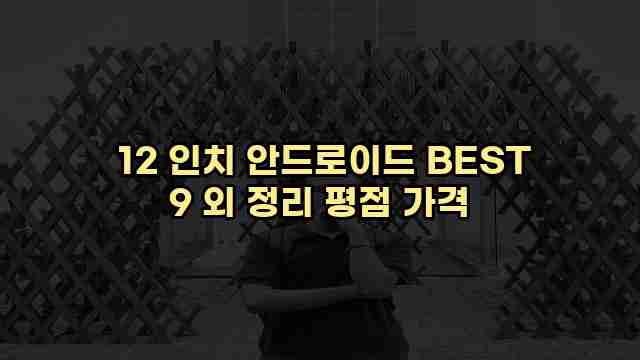  12 인치 안드로이드 BEST 9 외 정리 평점 가격