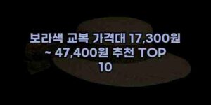 알리파파의 가성비 알리 제품 추천 36688 15