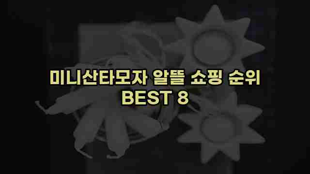 미니산타모자 알뜰 쇼핑 순위 BEST 8