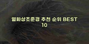 알리파파의 가성비 알리 제품 추천 37052 71