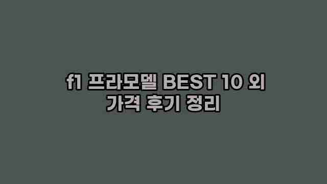  f1 프라모델 BEST 10 외 가격 후기 정리