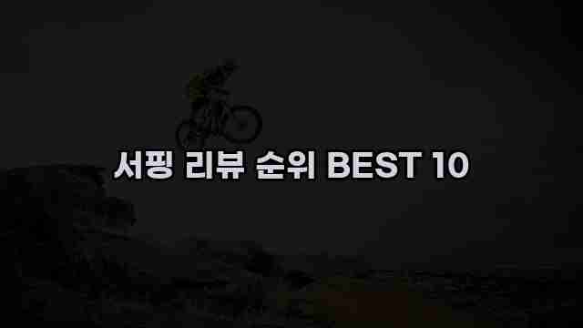 서핑 리뷰 순위 BEST 10