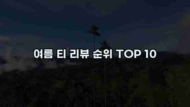 여름 티 리뷰 순위 TOP 10 1 1 여름 티 리뷰 순위 TOP 10