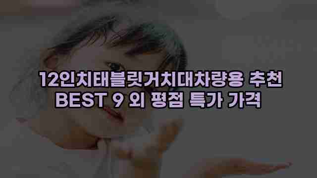  12인치태블릿거치대차량용 추천 BEST 9 외 평점 특가 가격