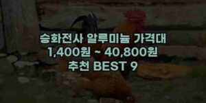 알리파파의 가성비 알리 제품 추천 37813 116