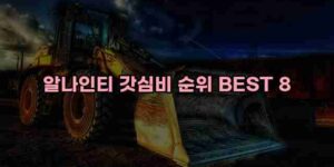 알리파파의 가성비 알리 제품 추천 50893 17