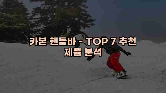 카본 핸들바 - TOP 7 추천 제품 분석