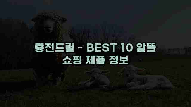 충전드릴 - BEST 10 알뜰 쇼핑 제품 정보