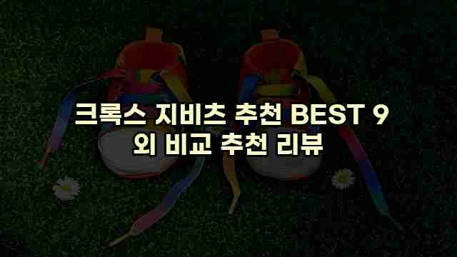  크록스 지비츠 추천 BEST 9 외 비교 추천 리뷰