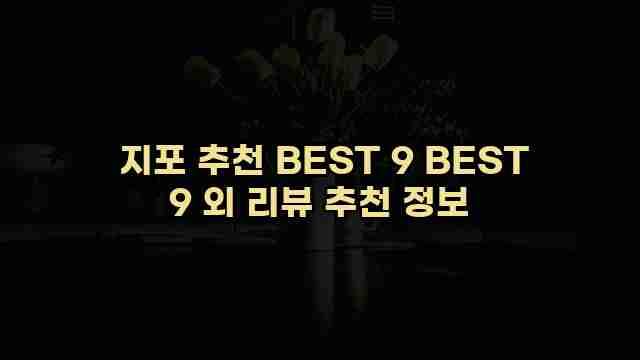  지포 추천 BEST 9 BEST 9 외 리뷰 추천 정보