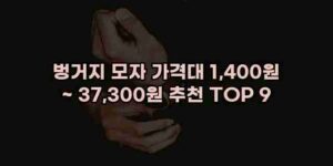 알리파파의 가성비 알리 제품 추천 39360 83