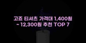 알리파파의 가성비 알리 제품 추천 37860 12