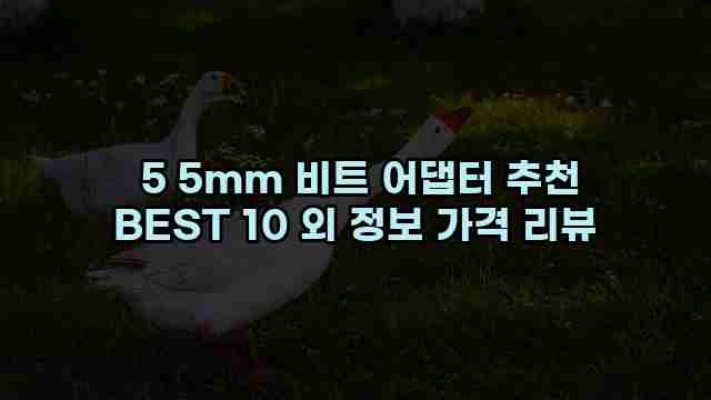 5 5mm 비트 어댑터 추천 BEST 10 외 정보 가격 리뷰 1 1 5 5mm 비트 어댑터 추천 BEST 10 외 정보 가격 리뷰