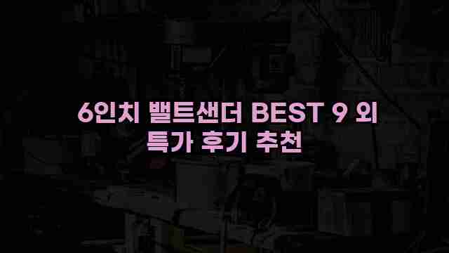  6인치 밸트샌더 BEST 9 외 특가 후기 추천