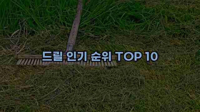 드릴 인기 순위 TOP 10