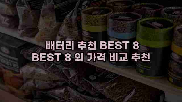  배터리 추천 BEST 8 BEST 8 외 가격 비교 추천