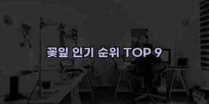 알리파파의 가성비 알리 제품 추천 49269 12