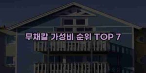알리파파의 가성비 알리 제품 추천 48195 84