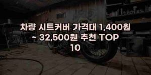 알리파파의 가성비 알리 제품 추천 50184 12