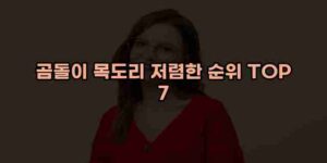 알리파파의 가성비 알리 제품 추천 48147 1