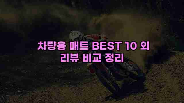  차량용 매트 BEST 10 외 리뷰 비교 정리