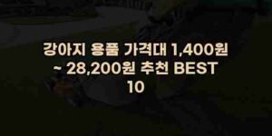 알리파파의 가성비 알리 제품 추천 48331 1