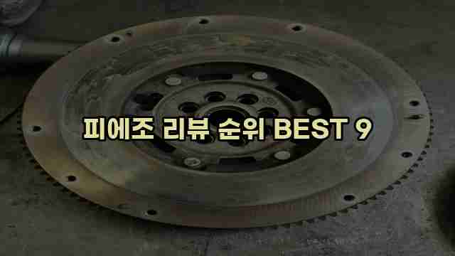 피에조 리뷰 순위 BEST 9